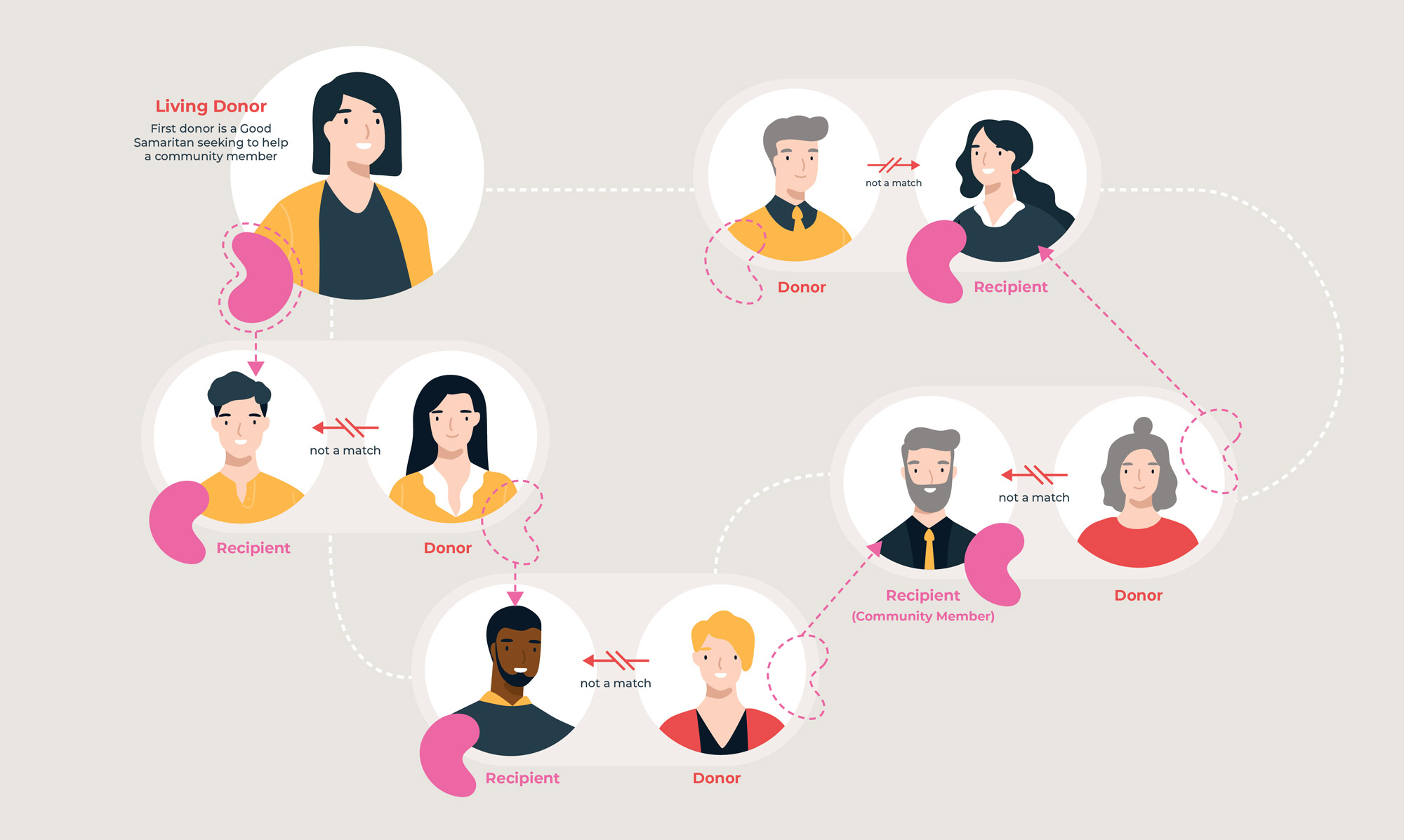 How does the pairing algorithm work? | Kidneys for Communities